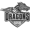 sgsh-dragons-physiotherapie-ptx